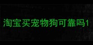 淘宝买宠物狗可靠吗