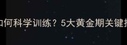 博美犬2个月大如何科学训练5大黄金期关键技巧与注意事项
