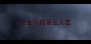 哈士奇拖着主人走