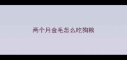 两个月金毛怎么吃狗粮
