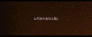 如何制作宠物衣服