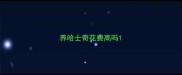 养哈士奇花费高吗