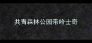 共青森林公园带哈士奇
