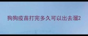狗狗疫苗打完多久可以出去溜