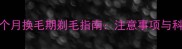 哈士奇4-5个月换毛期剃毛指南注意事项与科学护理全