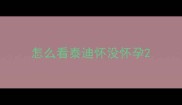 怎么看泰迪怀没怀孕