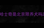 哈士奇是北京限养犬吗