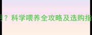 狗狗磨牙棒能吃几个月科学喂养全攻略及选购指南附月龄对照表