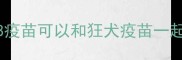 宠物v8疫苗可以和狂犬疫苗一起打吗
