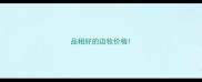 品相好的边牧价格