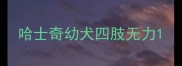 哈士奇幼犬四肢无力