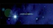 小拉布拉多咖啡色