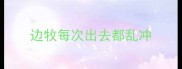 边牧每次出去都乱冲