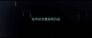 拉布拉多腹部有凸起