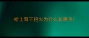 哈士奇三把火为什么长黑毛