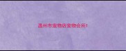 温州市宠物店宠物会所