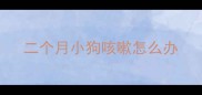 二个月小狗咳嗽怎么办