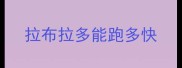 拉布拉多能跑多快
