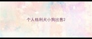 个人格利犬小狗出售