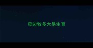 母边牧多大易生育