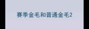 赛季金毛和普通金毛