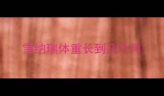 雪纳瑞体重长到几个月