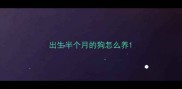 出生半个月的狗怎么养