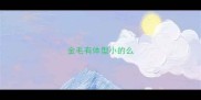 金毛有体型小的么