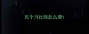 死个月比熊怎么喂