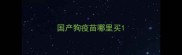 国产狗疫苗哪里买