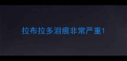 拉布拉多泪痕非常严重