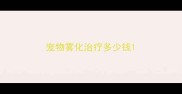 宠物雾化治疗多少钱