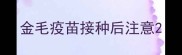 金毛疫苗接种后注意