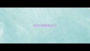 宠物水獭哪里有卖