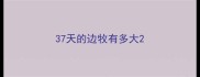 37天的边牧有多大