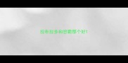 拉布拉多和恶霸那个好