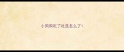 小狗狗吃了吐是怎么了