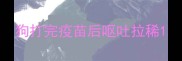 狗打完疫苗后呕吐拉稀