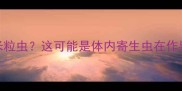 发现小狗便便有白色米粒虫这可能是体内寄生虫在作祟附全网最全应对指南