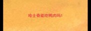 哈士奇能吃鸭肉吗