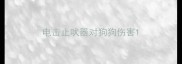 电击止吠器对狗狗伤害