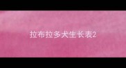 拉布拉多犬生长表