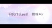 狗狗打疫苗后一摸就叫
