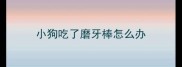 小狗吃了磨牙棒怎么办