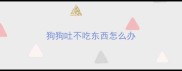 狗狗吐不吃东西怎么办