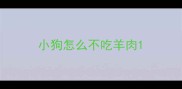 小狗怎么不吃羊肉