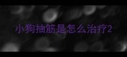 小狗抽筋是怎么治疗