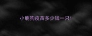 小鹿狗疫苗多少钱一只