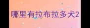 哪里有拉布拉多犬