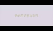 狗狗用的驱虫药吗